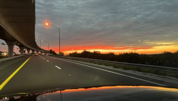 morning morning